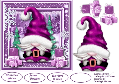 7x7  Gnomes New Suit