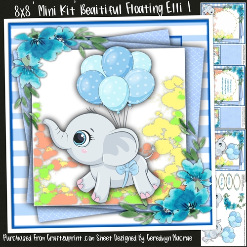 8x8 Mini Kit, Beautiful Floating Elli 1