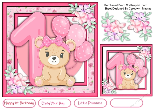 Little Bears 1st Birthday , Girl