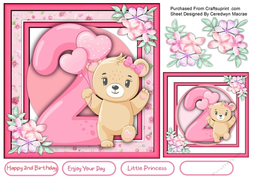 Little Bears 2nd Birthday , Girl