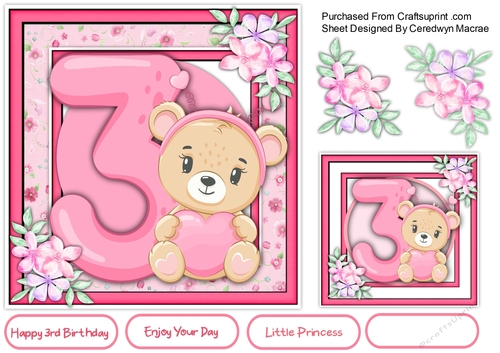 Little Bears 3rd Birthday , Girl