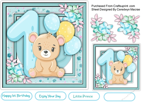 Little Bears 1st Birthday , Boy