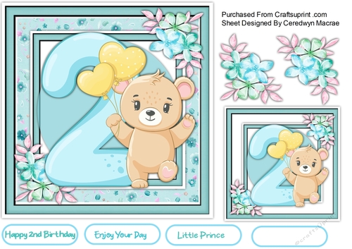 Little Bears 2nd Birthday , Boy