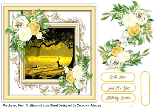7x7 Beautiful Sunset and Roses