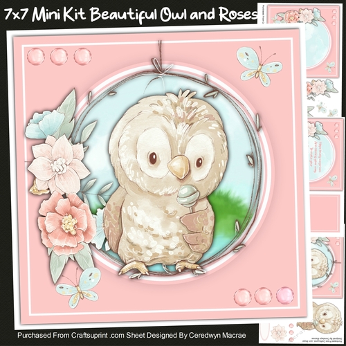 7x7 Mini Kit, Beautiful Owl and Roses 