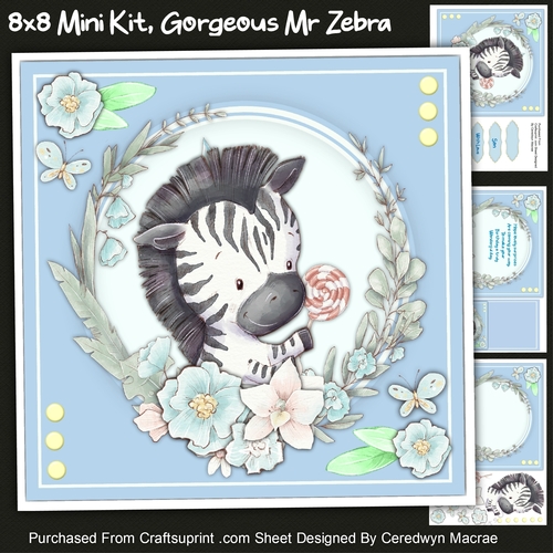 8x8 Mini Kit Gorgeous Mr Zebra