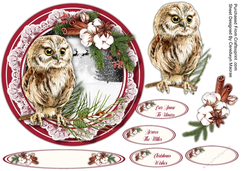 Beautiful Christmas Owl