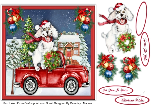 Happy Christmas Dog