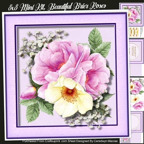 8x8 Mini Kit, Beautiful Brier Roses 
