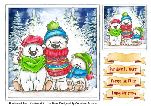 7x7 , Three Chilly Polar Bears