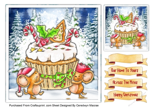 7x7 , Gorgeous Christmas Cupcake