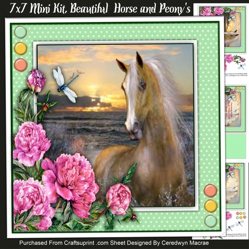 7x7 Mini Kit, Beautiful Horse and Peonys 