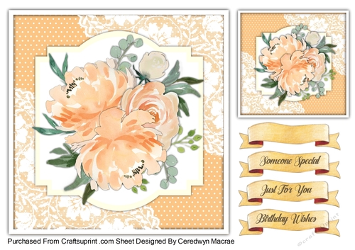 7x7 Beautiful Peach Roses