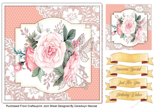 7x7 Beautiful Pink Roses