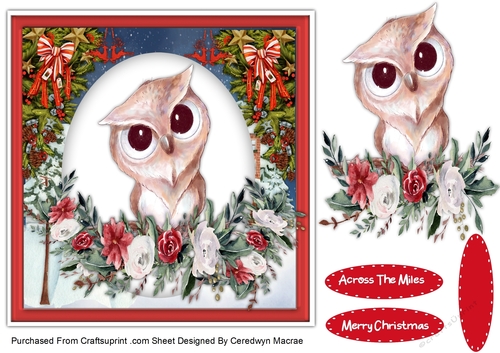 7x7 , Christmas Owl