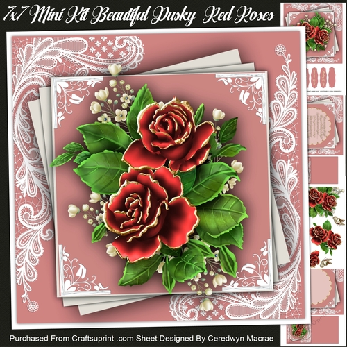 7x7 Mini Kit, Beautiful Dusky Red Roses
