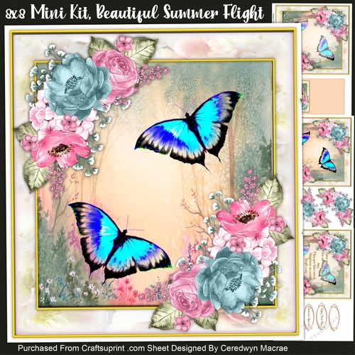 8x8 Mini Kit, Beautiful Summer Flight