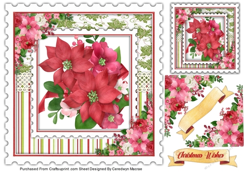 8x8 The Christmas Poinsettias