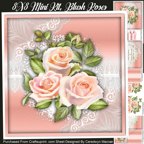 8x8 Mini Kit, Blush Roses