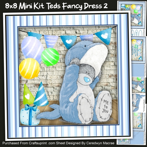 8x8 Mini Kit Teds Fancy Dress 2
