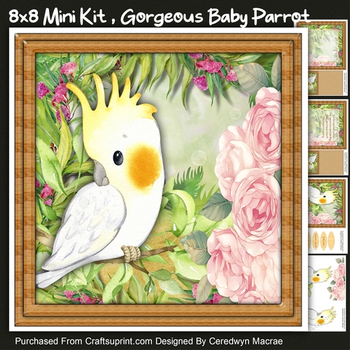 8x8 Mini Kit, Gorgeous Baby Parrot