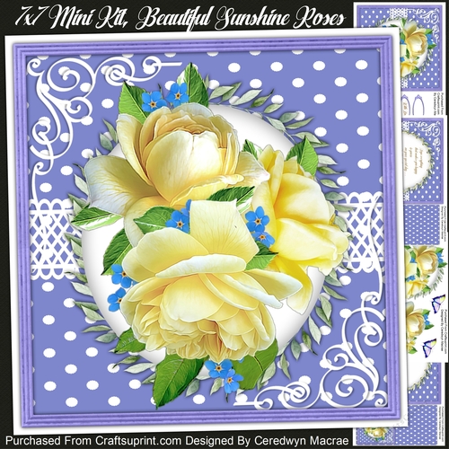 7x7 Mini Kit, Beautiful Sunshine Roses 