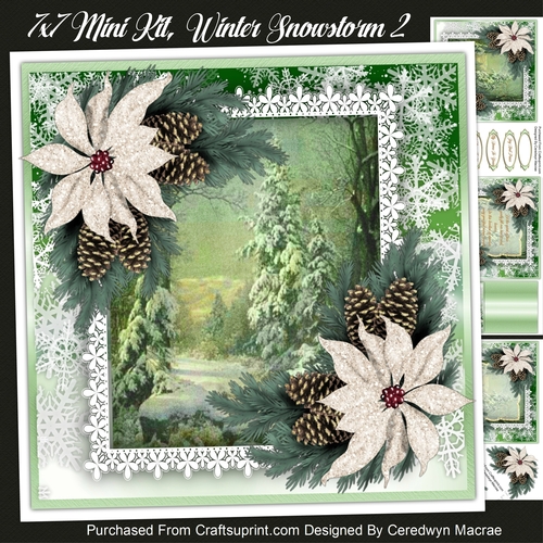 7x7 Mini Kit, Winters SnowStorm 2