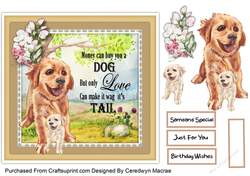 7x7 Doggy  Tails 6
