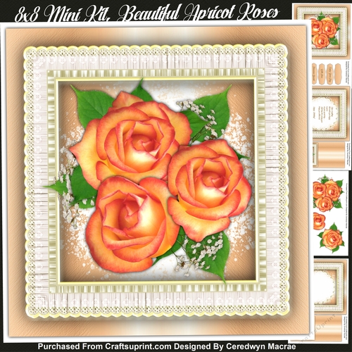8x8 Mini Kit, Beautiful Apricot Roses
