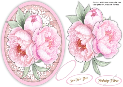 A5 Gorgeous Pink Peonys