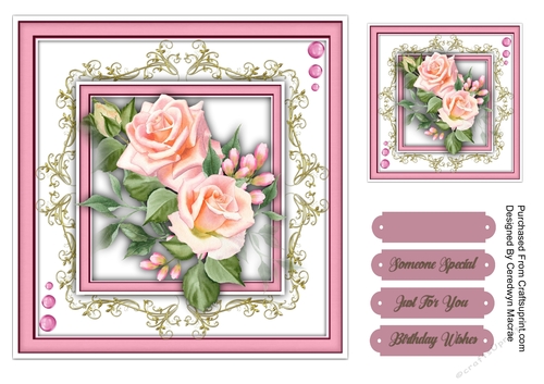 7x7 Stunning French Roses