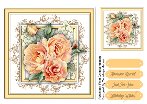 7x7 Stunning Peach Roses