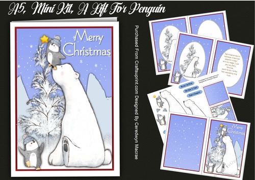 A5, Mini Kit, A lift For Penguin