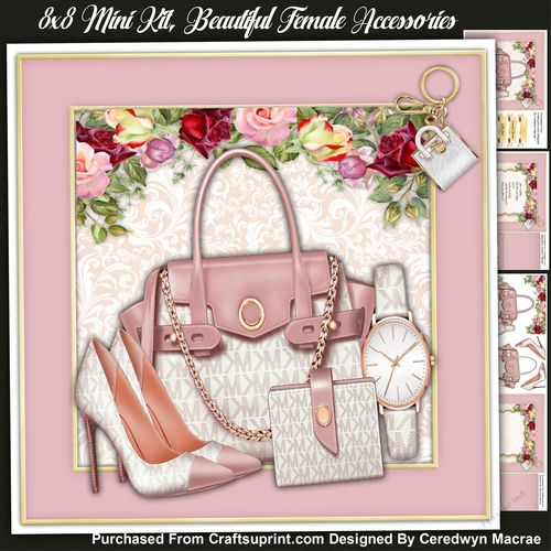 8x8 Mini Kit , Beautiful Female Accessories