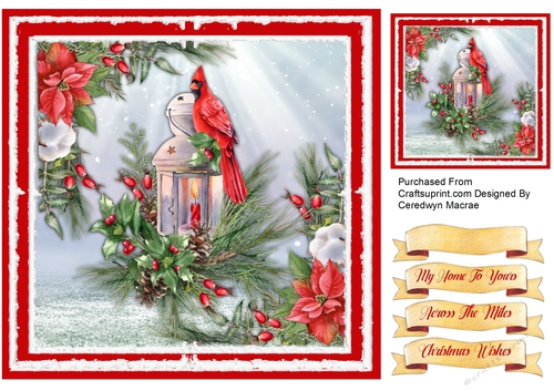 8x8 Beautiful Christmas Cardinal 