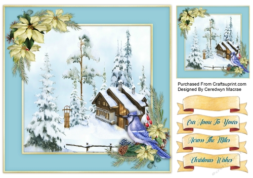 8x8 Beautiful Christmas Blue Bird and scene