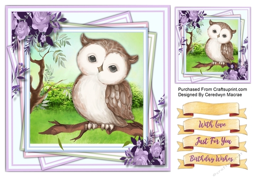 8x8 Gorgeous Owl on a Branch