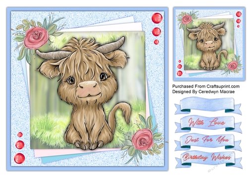 8x8 Adorable Highland Coo