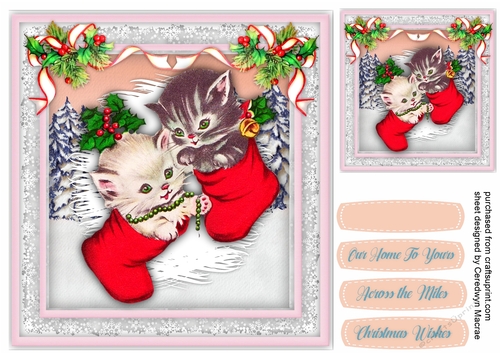 8x8 Adorable Kitten Socks