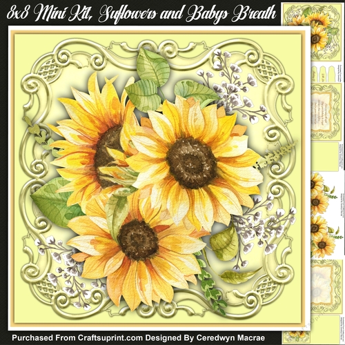 8x8 Mini Kit, Sunflowers and Babys Breath