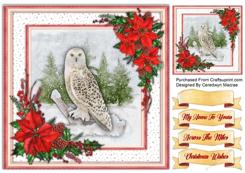 8x8  Beautiful Snow Owl