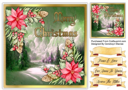 8x8 Beautiful Poinsettias in The Snow