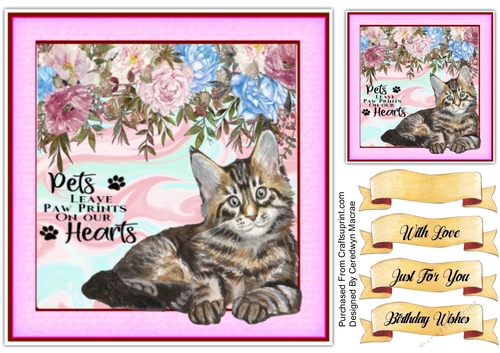 8x8 Beautiful Tabby Kitten with Quote