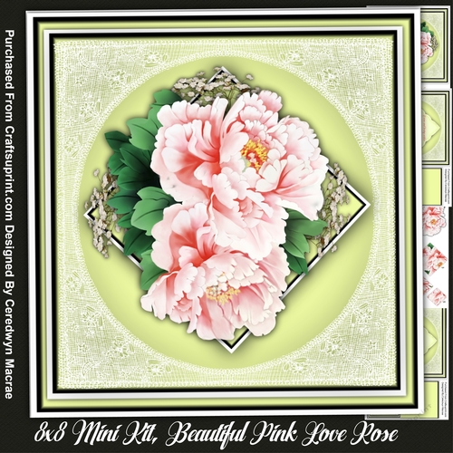 8x8 Mini Kit, Beautiful Pink love Rose , Pyramid 