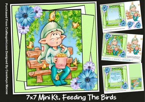 7x7 Mini Kit, Feeding The Birds