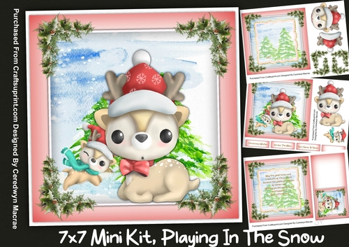 7x7 Mini Kit, Playing In The Snow