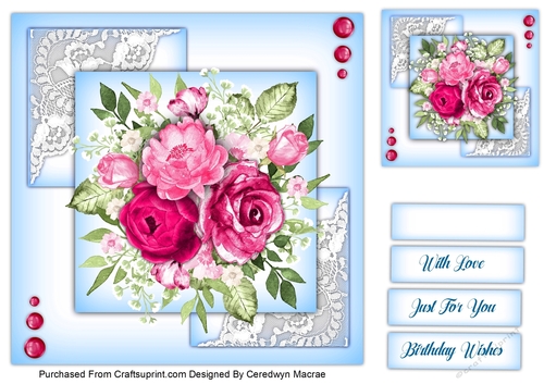 7.5x7.5 Beautiful Hot Pink Roses