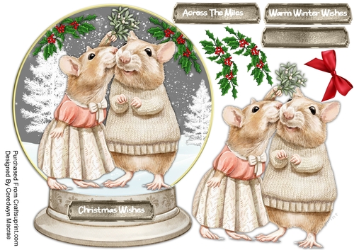 Lovely Snowglobe , Kissing Under The Mistletoe