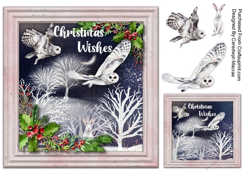 8x8 Beautiful Night Owls