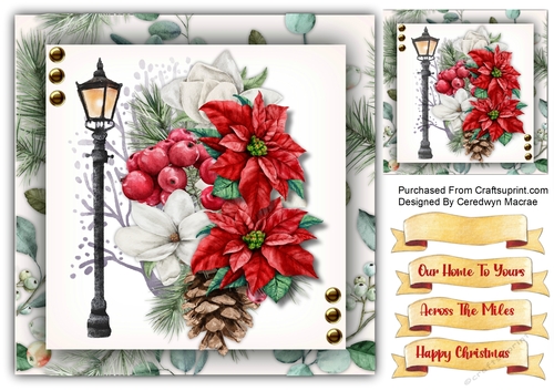 8x8 Beautiful Christmas Poinsettias